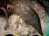 KEITH PAYNE - Kakapel - oil on canvas - 180 x 240 cm - €2500