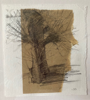 JO ASHBY - Pollarded Willow II - mixed media - 31 x 31 cm - €195