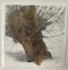 JO ASHBY - Pollarded Willow I - mixed media - 31 x 31 cm - €195