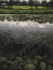 JANET MURRAN - Riverscapes VI - acrylic on canvas on board - 34 x 28 cm - €300