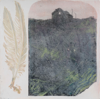 ANGIE SHANAHAN - Feathers & Ferns  - photo montage, acrylic on panel - €650