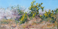DAMARIS LYSAGHT ~ Blackthorn and Furze, Coolcaha - Oil on Canvas on Board - 20 x 40 cm - €775