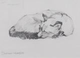 DAMARIS LYSAGHT ~ Cat Nap I - pencil - 25 x 29 cm - €110