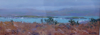 DAMARIS LYSAGHT - Furze & Horse Islands, Dunmanus - oil on panel - 15 x 40 cm - €625