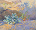 DAMARIS LYSAGHT ~ Last Rays, Barley Cove - Oil on Canvas on Board - 25 x 30 cm - €650