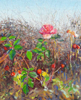 DAMARIS LYSAGHT - Last Rose of November - oil on canvas on panel - 30 x 25 cm - €725
