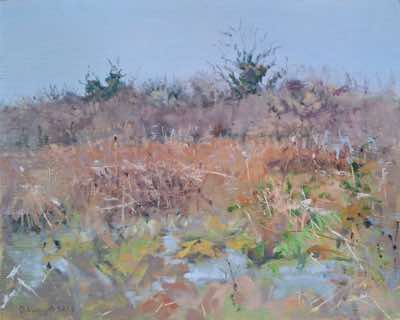 Damaris Lysaght - Ardraly Bog - oil on panel 25 x 30 cm - €485