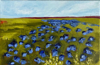 HELEN O'KEEFFE - Bluebell Meadow 2 - oil on canvas- 20 x 31 cm - €350