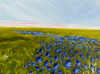 HELEN O'KEEFFE - Bluebell Meadow  - oil on canvas- 30 x 41 cm - €440