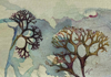 CLAIRE HALLIDAY - Sea Trees 3 - ink & watercolour - 7 x 20 cm - €175