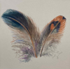 CLAIRE HALLIDAY - Feathering - iwatercolour - 15 x 15 cm - €85