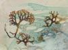 CLAIRE HALLIDAY - Sea Trees 4 - ink & watercolour - 7 x 20 cm - €175