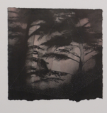 LAURA WADE ~ Canopy V - ink on paper - 30 x 30  cm - €190