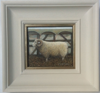 MARY E CARTER - The Sheep Pen - oil on board - 120 x 120 mm - €600