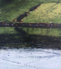 JANET MURRAN - Full tide looking across the Ilen - acrylic on panel - 40 x 36 cm - €795