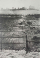 JOHANNA CONNOR - Anew - graphite & pencil on paper - 55 x 42 cm - €760