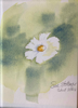 SUSAN STOLBERGER - Simple Joys - watercolour - 21 x 17 cm - €200