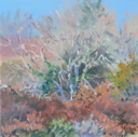 DAMARIS LYSAGHT - Autumn, Coolcaha 4 - oil on plywod - 15 x 15 cm - €285