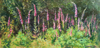 DAMARIS LYSAGHT - Foxgloves - oil on panel - 15 x 30 cm framed 31 x 46 cm - €435