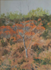 DAMARIS LYSAGHT - Oak Saling - oil on panel - 26 x 19 cm - €535