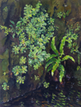 DAMARIS LYSAGHT - Sr.Patrick's Cabbage - Oil on canvas on panel - €985