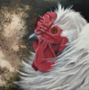 DIANA KINGSTON ~ Gubbeen Hen II - mixed media on canvas - 20 x 20 cm - €275