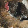 DIANA KINGSTON ~ Gubbeen Hen I - mixed media on canvas - 20 x 20 cm - €275
