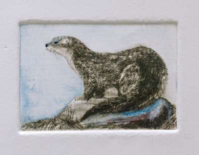Birgitta Säflund - Otter - hand coloured etching - €320 - SOLD