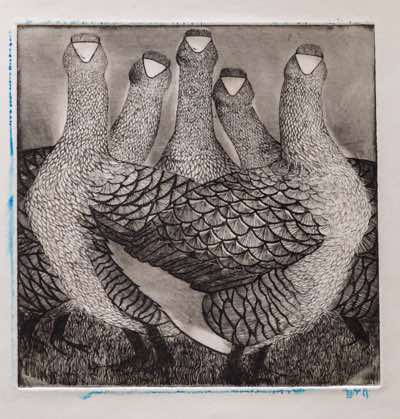 Birgitta Säflund - Geese Gandering - etching proof - €410