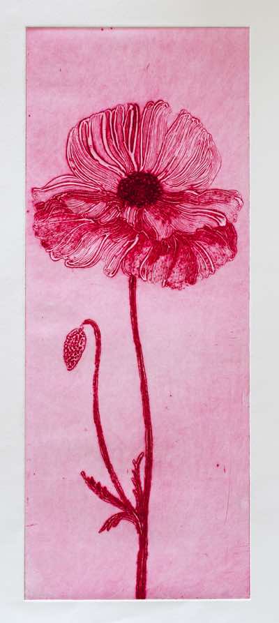 Birgitta Säflund - Pink Poppy - carborundum - €750 
