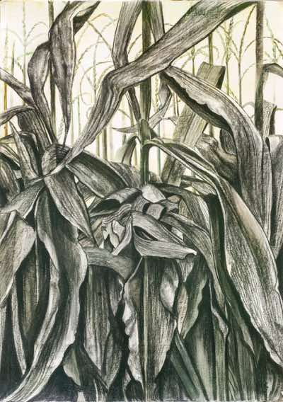 Birgitta Säflund - Maize I - mixed media - NFS