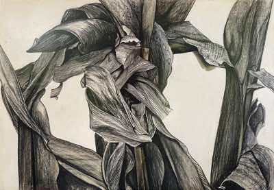 Birgitta Säflund -  Drying Maize Detail - mixed media - NFS