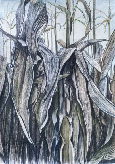 Birgitta Säflund - Maize II - mixed media - NFS
