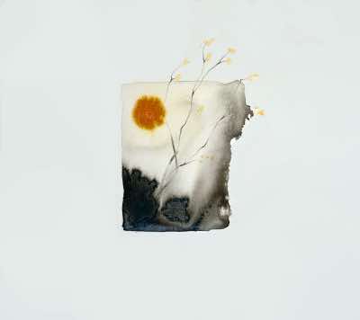 Eilbhe Donovan -Budding - ink & pencil on paper - 42 x 42 cm - €850