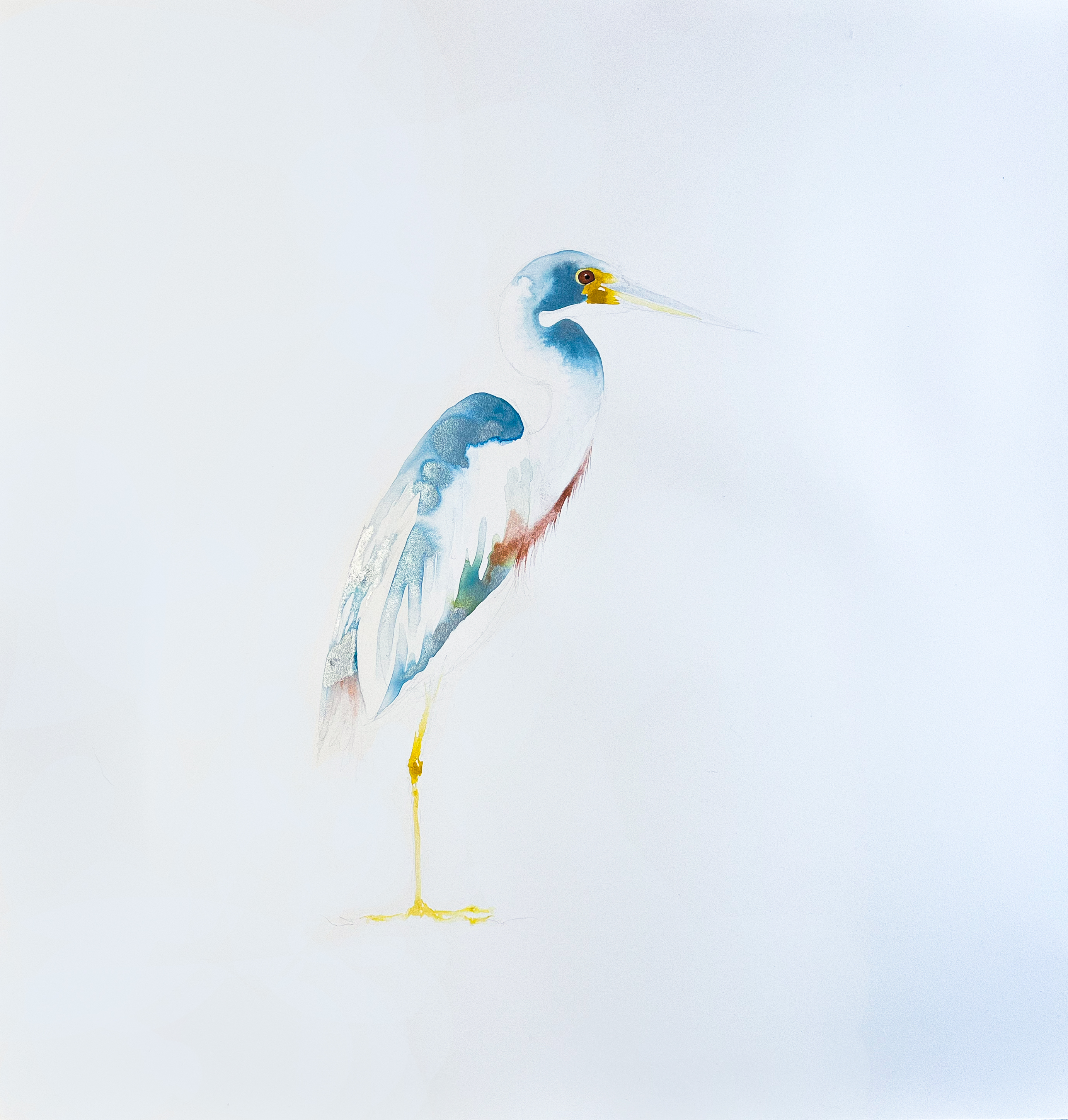 Eilbhe Donovan -Tricolour Heron - ink & pencil on paper - 78 x 80 cm - €2600