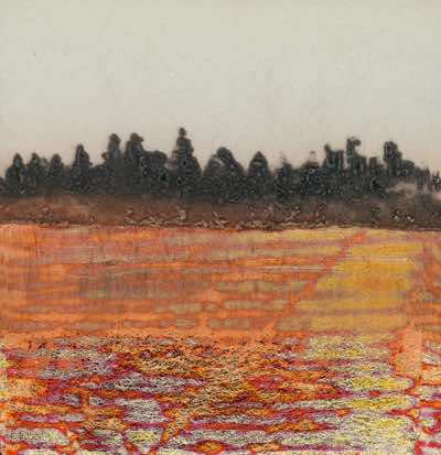 Elke Thonnes - Abbeylix Bog - carborundum print - 10 x 15 cm - €150