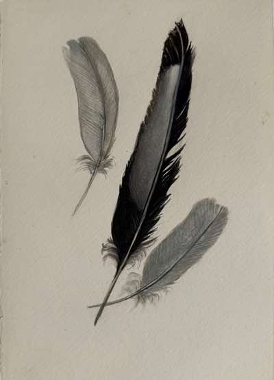 Birgitta Säflund - Feather Study I - watercolour  - €160