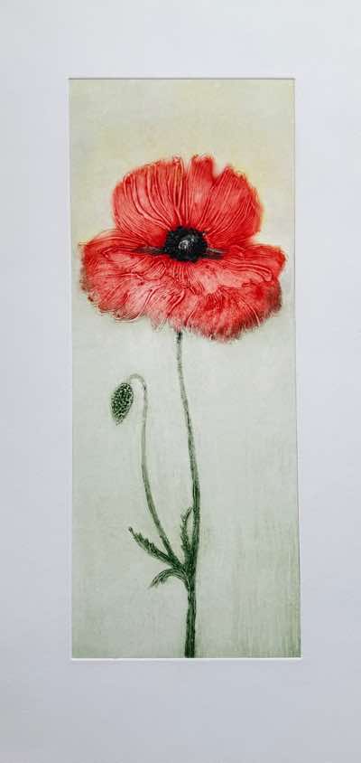 Birgitta Säflund - Red Poppy - carborundum - €750 