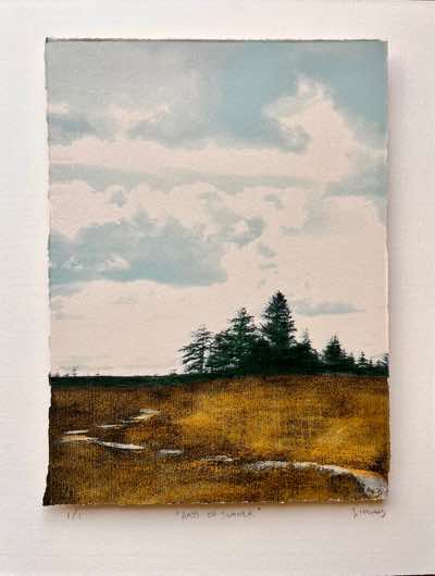 Jo Howard - Days of Summer - painting & screenprint on paper - 37 x 29cm - €250