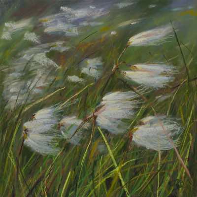 Patricia Bevan - Ephemeral Joy, Beara - pastel on board - 20 x 20 cm - €330