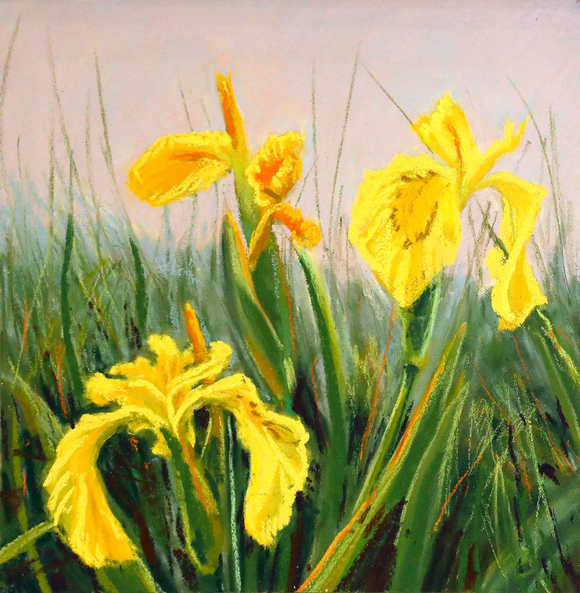 Patricia Bevan - Mizen Irises - pastel on board - 26 x 26 cm - €330
