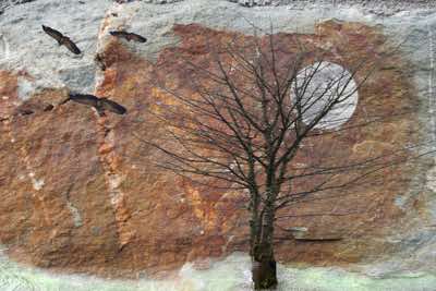 Richard Winfield - Tree & Moon #1 - archival print - 50 x 40 cm - €220