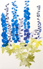 GRÁINNE CUFFE ~ Delphiniums II - etching - 140 x 90 cm - TWO SOLD