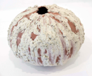 JANE JERMYN - Pod Form 20 terracotta & white - ceramic - €150