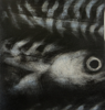 JANET MURRAN ~ Mid Waters II - mixed media - 30.5 x 29 cm - €195