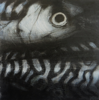 JANET MURRAN ~ Mid Waters VIII - mixed media -33.5 x 33.5 cm- €225