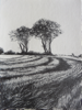 JANET MURRAN ~ Two Trees IV - pencil on canvas - 38 x 31 cm - €245