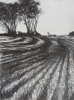 JANET MURRAN ~ Two Trees VI - pencil on canvas - 38 x 31 cm - €245