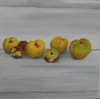 JENNY RICHARDSON - Quinces - oil on wooden panel - 15 x 15 cm - €500