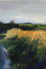 JO ASHBY - Last of the Sun, Sherkin - oil on canvas - 70 x 90 cm - €850